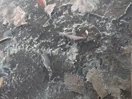 日光山輪王寺別院 温泉寺の自然