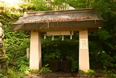 戸隠神社奥社(長野県)