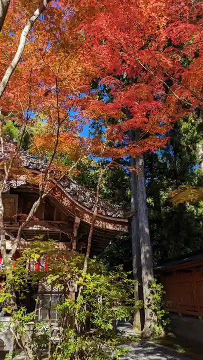 赤山禅院(京都府)