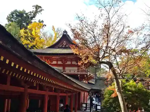 春日大社(奈良県)