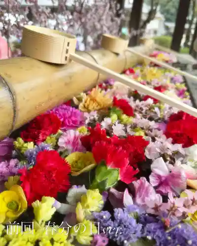 群馬県護国神社(群馬県)