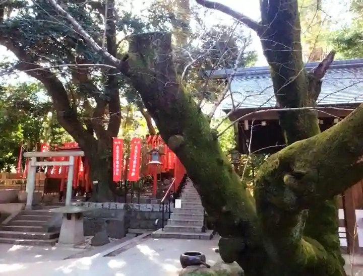 乃木神社(東京都)