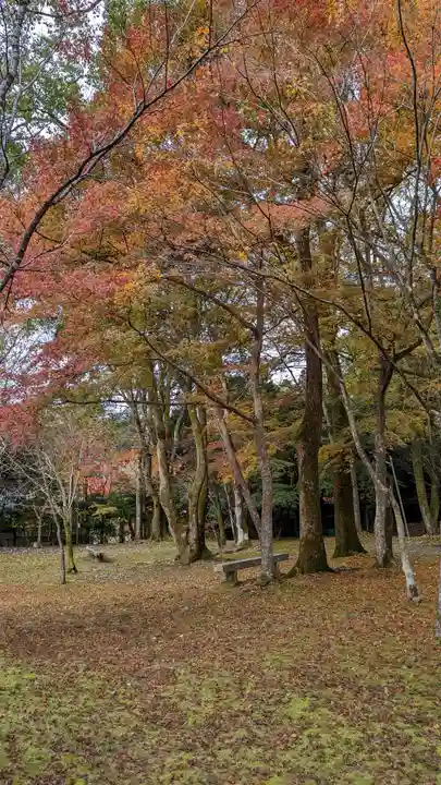 醍醐寺(京都府)