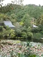 龍安寺の庭園