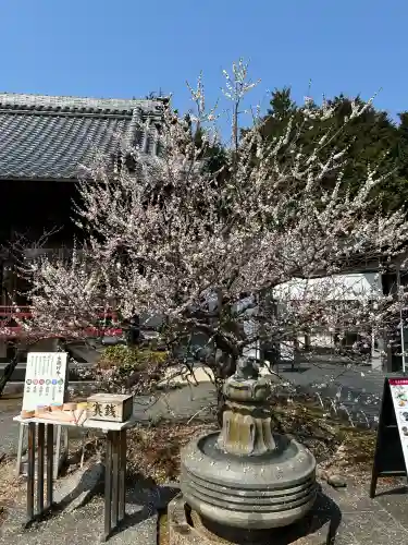 岩津天満宮の自然