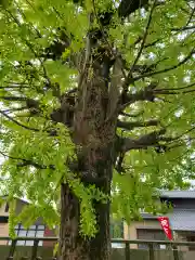 総願寺の建物その他