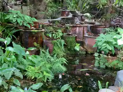 乗運寺(静岡県)