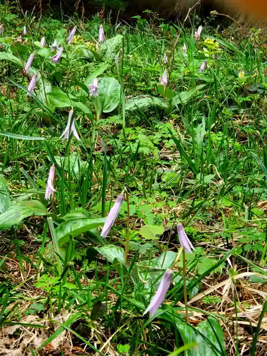 観音寺(福島県)