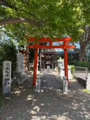 日吉神社の{uncategorized: "未分類", other: "その他", undefined: "問題あり", building: "その他建物", grave: "お墓", sacred_gate: "鳥居", guardian: "狛犬", statue: "像", buddha: "仏像", history: "歴史", nature: "自然", garden: "庭園", animal: "動物", pagoda: "塔", temizu: "手水舎", mountain_gate: "山門・神門", sanctuary: "本殿・本堂", subordinate: "末社・摂社", art: "芸術", scenery: "景色", jizo: "地蔵", ema: "絵馬", goshuin: "御朱印", omikuji: "おみくじ", items: "授与品その他", amulet: "お守り", goshuincho: "御朱印帳", eats: "食事", festival: "お祭り", votive_dance: "神楽", shichigosan: "七五三参", wedding: "結婚式", experience: "体験その他", initially: "初詣", around: "周辺", anti_infection: "感染症対策"}