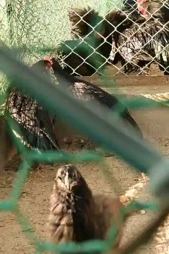 玉祖神社(山口県)