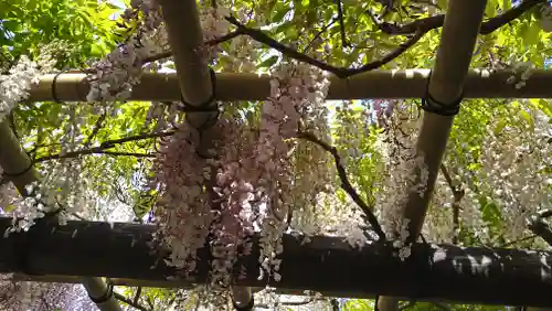歌泉堂（春日大社神苑萬葉植物園内鎮座）(奈良県)