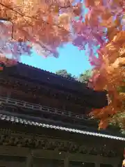 永源寺の建物その他