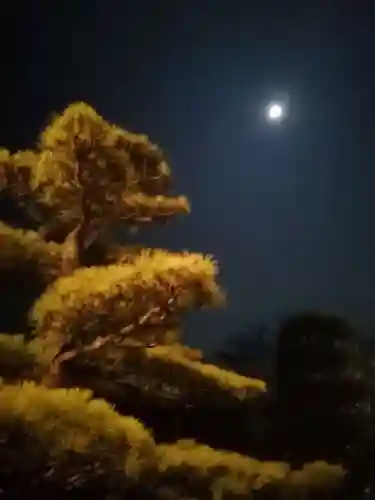 伏木香取神社の自然