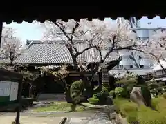 隆専寺の建物その他