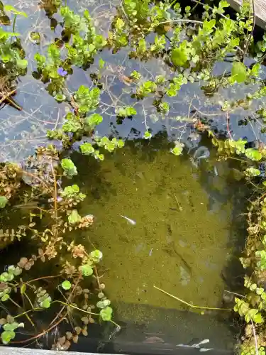 おふさ観音（観音寺）(奈良県)