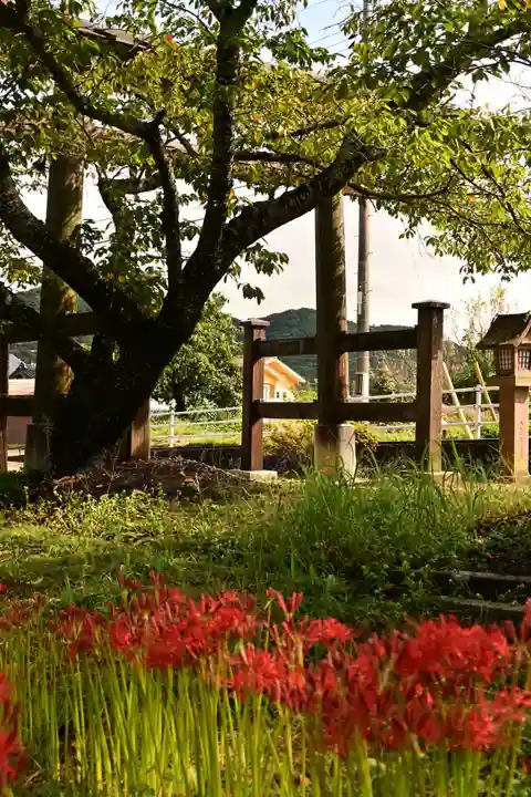 神魂神社(島根県)