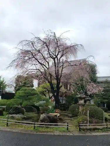 最勝寺(東京都)