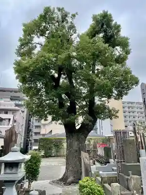普門寺(神奈川県)