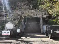 忌部神社(徳島県)