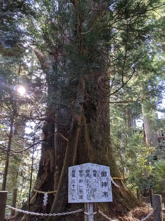 砥鹿神社(奥宮)(愛知県)