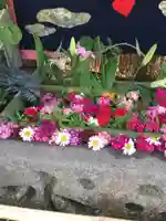 竹神社の手水舎