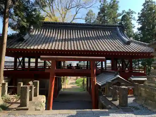 笹森稲荷神社の鳥居
