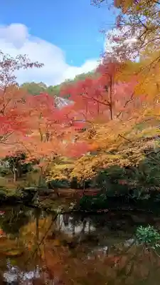 圓光寺(京都府)