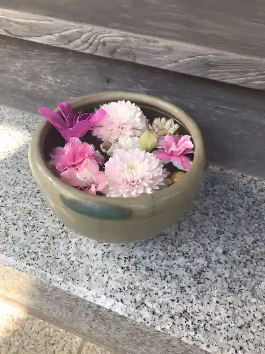 谷中 妙福寺(東京都)