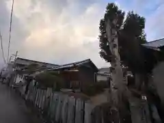 春日神社(奈良県)