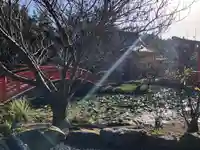高山稲荷神社の庭園