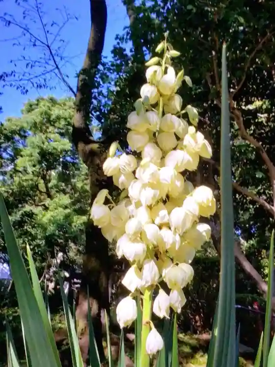 乃木神社(東京都)