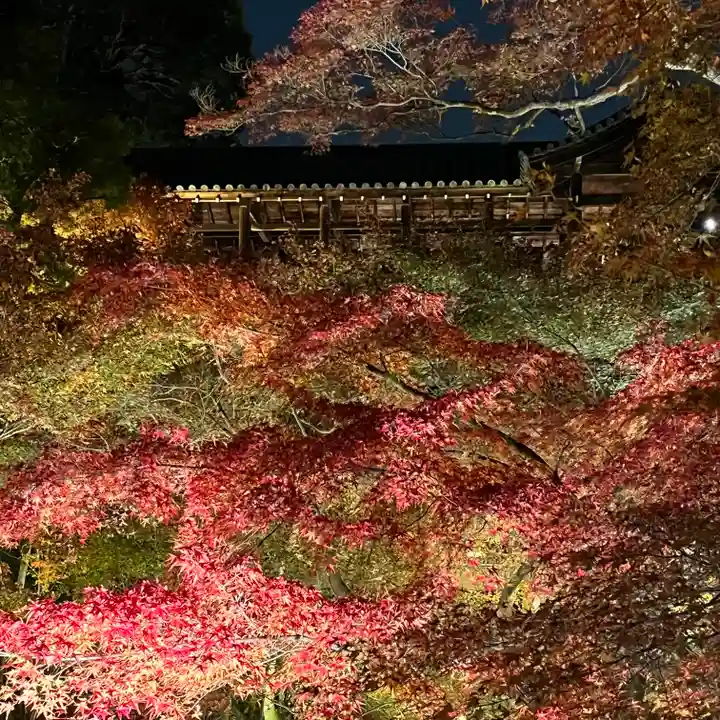 東福禅寺(東福寺)(京都府)