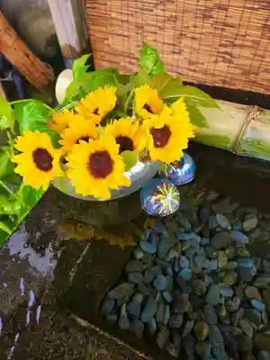 上尾御嶽神社の手水舎