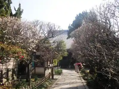 宝戒寺のその他建物