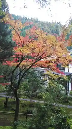 吟松寺の景色