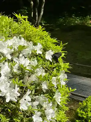 円通院(宮城県)