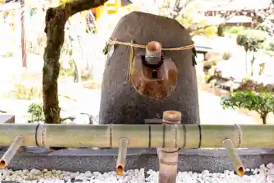 賀茂別雷神社（上賀茂神社）(京都府)