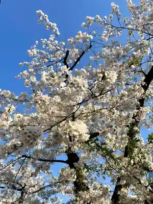 上目黒氷川神社(東京都)