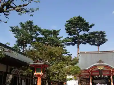 東伏見稲荷神社のその他建物