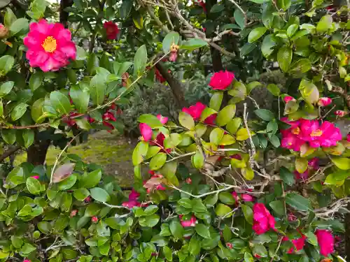 中宮寺(奈良県)