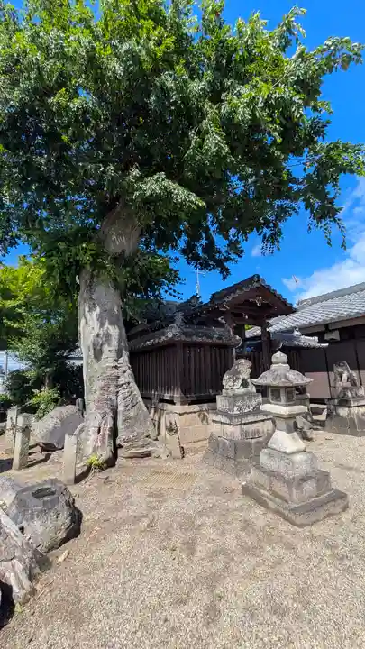額田部神社(滋賀県)