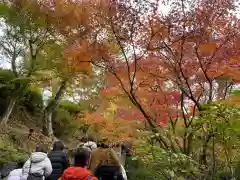 東福禅寺（東福寺）(京都府)