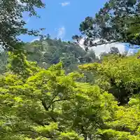 日吉大社(滋賀県)