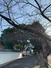 彌都加伎神社の建物その他