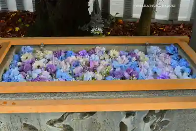 伊勢原大神宮(神奈川県)