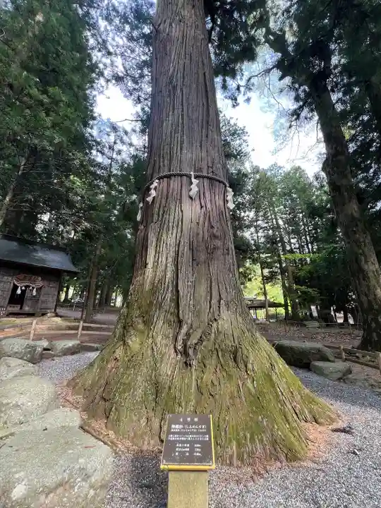 河口浅間神社(山梨県)