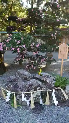 猿田彦神社のその他建物