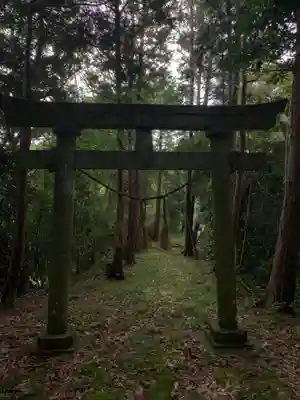 日枝神社の鳥居