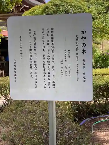 西光寺(神奈川県)