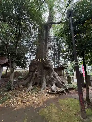 沓掛香取神社の{uncategorized: "未分類", other: "その他", undefined: "問題あり", building: "その他建物", grave: "お墓", sacred_gate: "鳥居", guardian: "狛犬", statue: "像", buddha: "仏像", history: "歴史", nature: "自然", garden: "庭園", animal: "動物", pagoda: "塔", temizu: "手水舎", mountain_gate: "山門・神門", sanctuary: "本殿・本堂", subordinate: "末社・摂社", art: "芸術", scenery: "景色", jizo: "地蔵", ema: "絵馬", goshuin: "御朱印", omikuji: "おみくじ", items: "授与品その他", amulet: "お守り", goshuincho: "御朱印帳", eats: "食事", festival: "お祭り", votive_dance: "神楽", shichigosan: "七五三参", wedding: "結婚式", experience: "体験その他", initially: "初詣", around: "周辺", anti_infection: "感染症対策"}